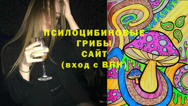 ГАЛЛЮЦИНОГЕННЫЕ ГРИБЫ Ельня