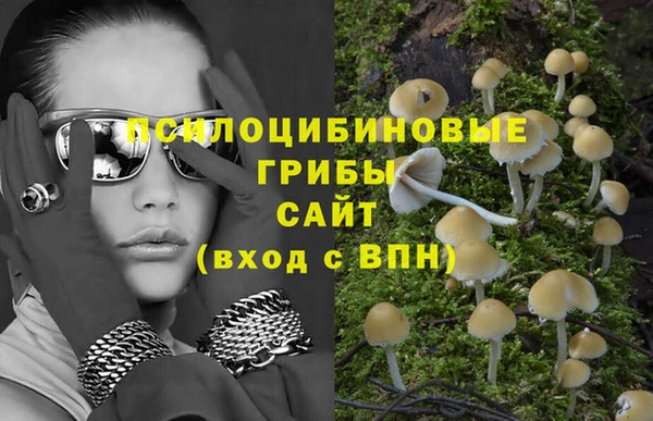 кокс Няндома