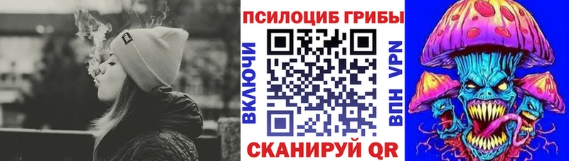 Галлюциногенные грибы Psilocybine cubensis Котельники