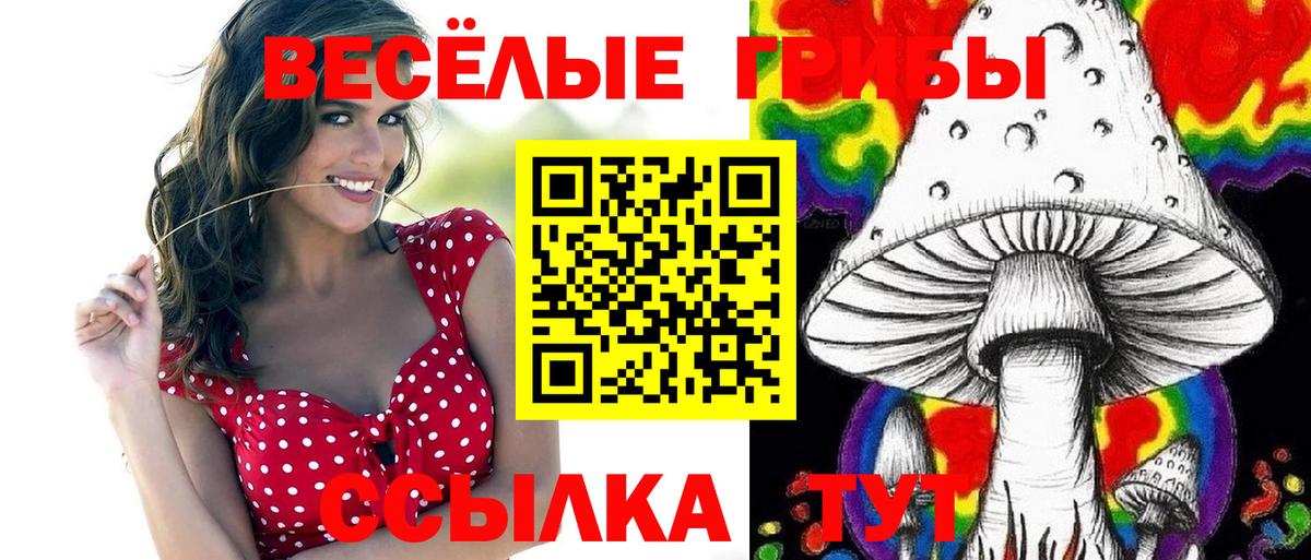 Галлюциногенные грибы Magic Shrooms Котельники